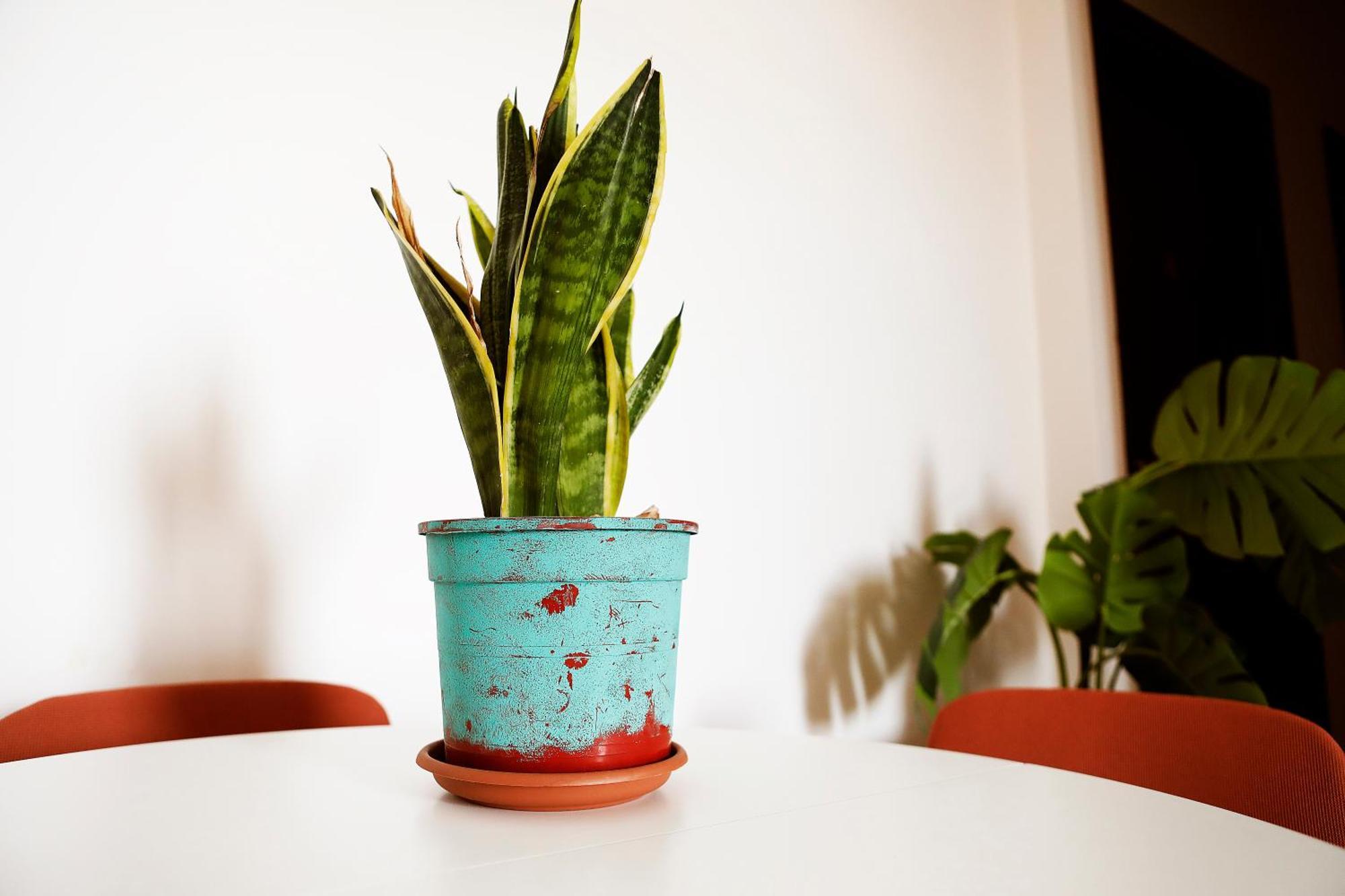 San Martino Bed & Breakfast - Rome, Rome